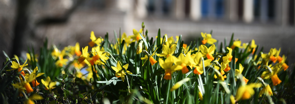 Office For Postdoctoral Affairs And Early Career Research Columbia